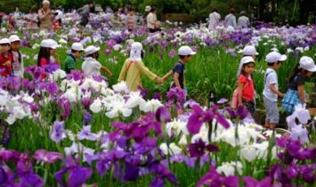 ご近所情報【堀切菖蒲園】